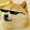 nhayden772's Avatar