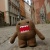 Domo-kun's Avatar