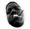 SlammedS13Tx's Avatar