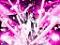twofortyrida1388's Avatar