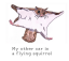 flying squirrel's Avatar