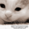 loveless's Avatar