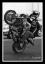AlexStunts.com's Avatar